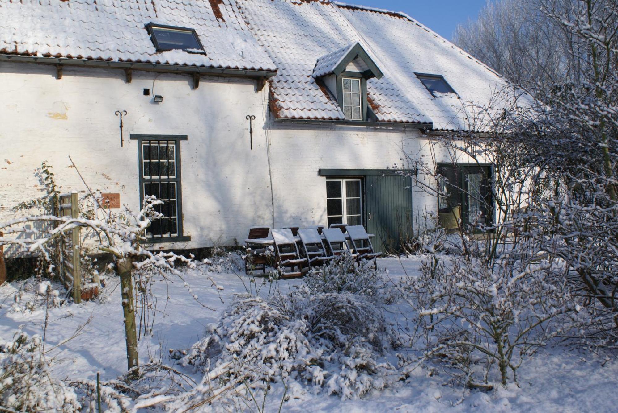 B&B De Metstermolen Sint-Truiden Eksteriør billede