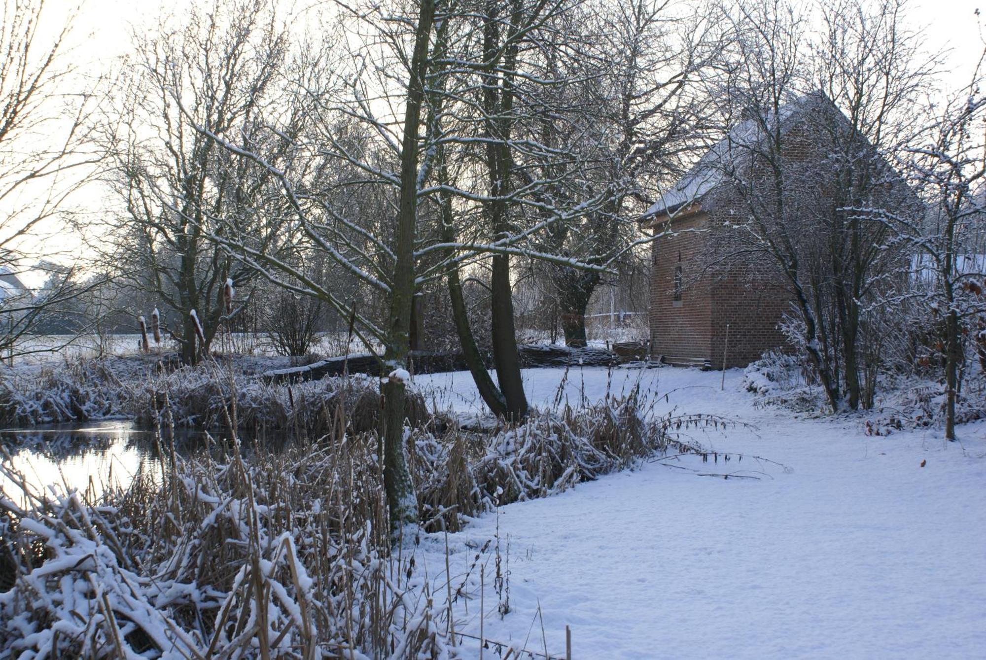 B&B De Metstermolen Sint-Truiden Eksteriør billede